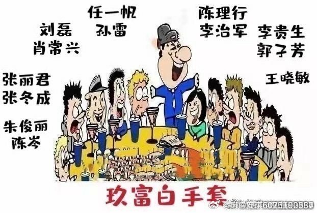 白小姐一肖一必中一肖|全面释义解释落实