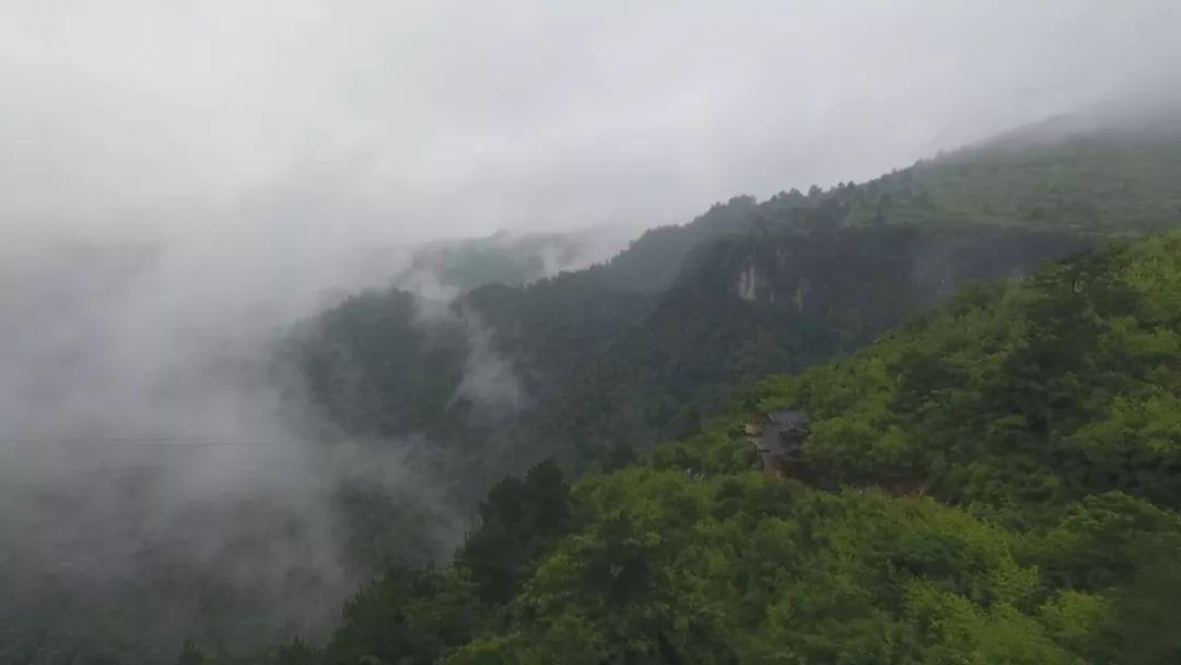 雪里二三三飘舞  一四常说雨中情 打一生肖|全面释义解释落实