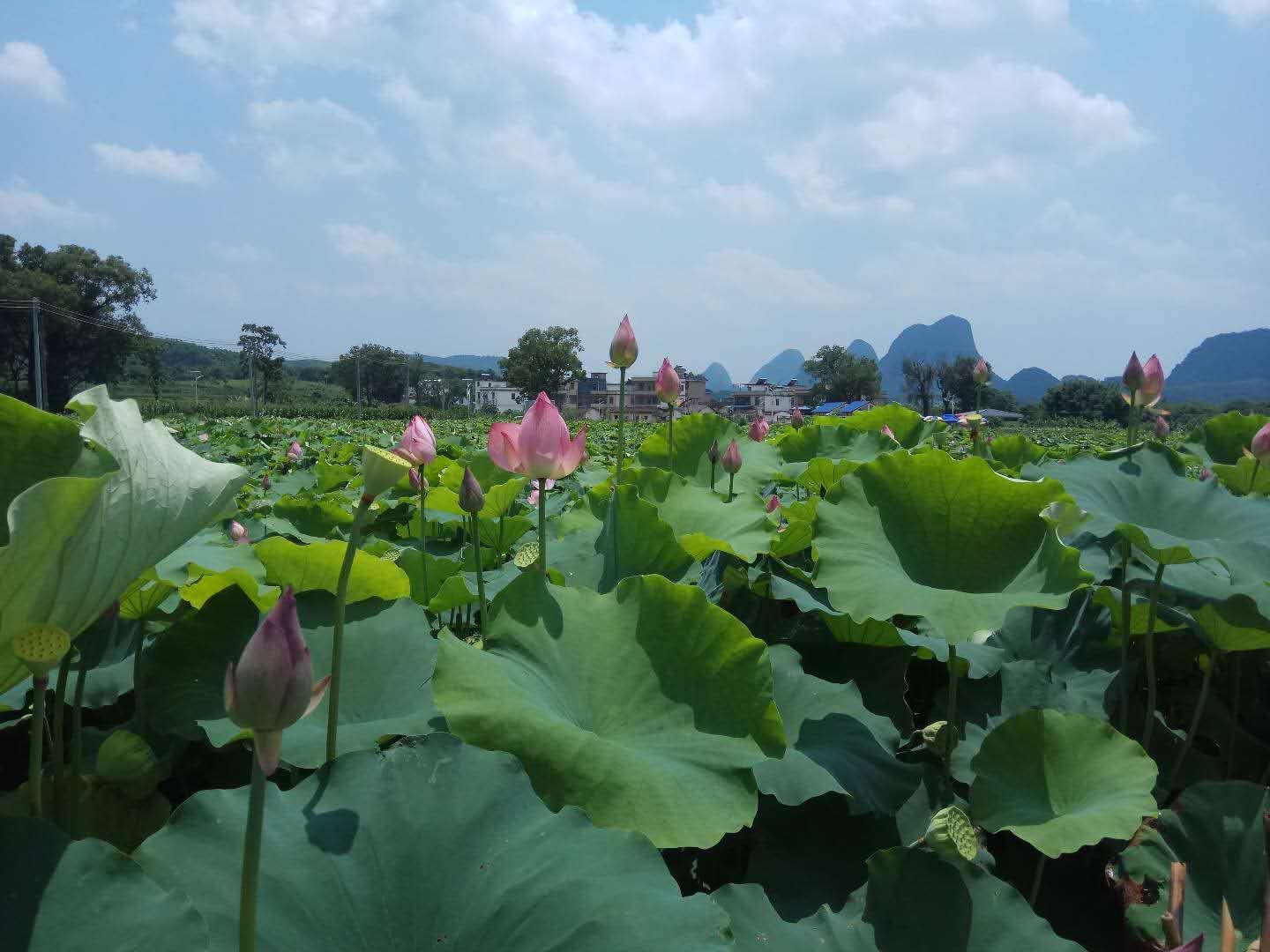 广东一登工程有限公司